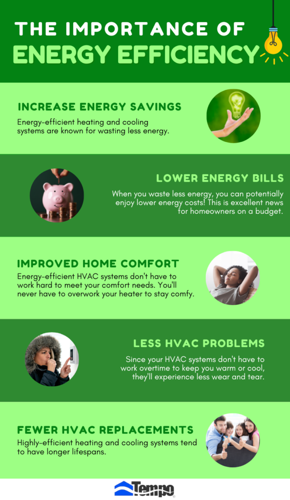 The Importance of Energy Efficiency infographic