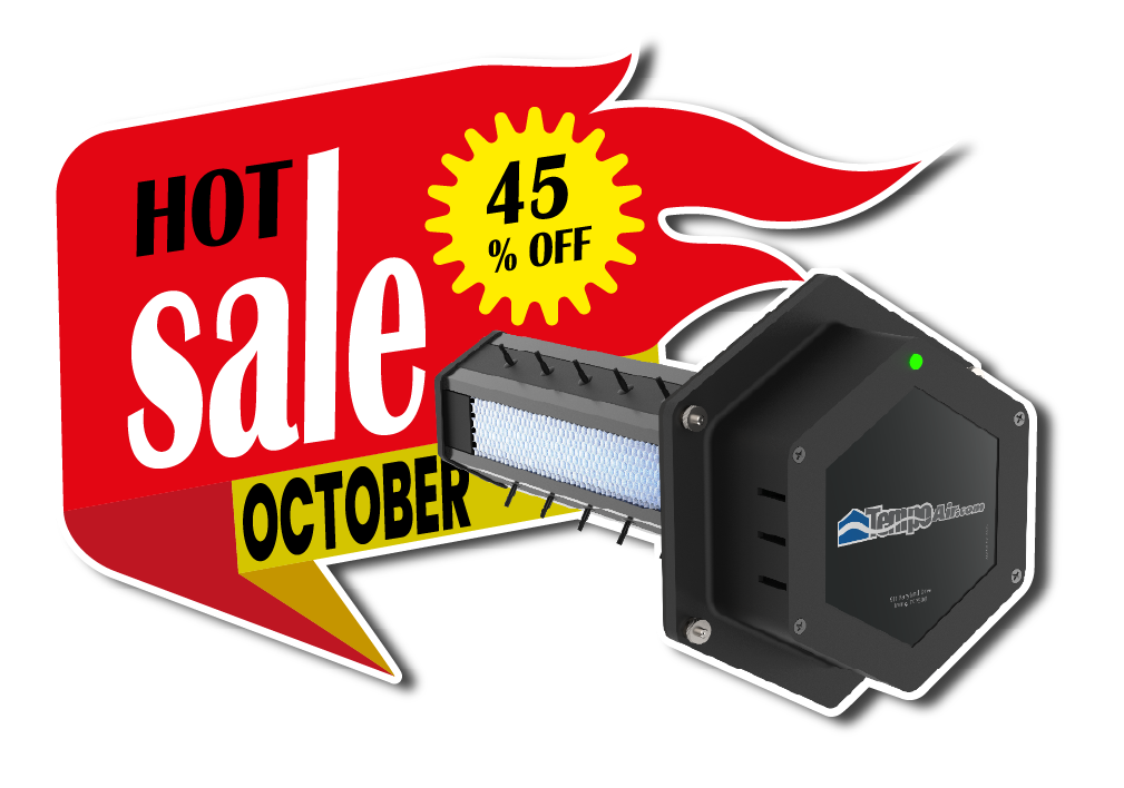 alt="Image of Hot Sale – 45% Off installation of Tempo Air Purifier, promotion valid October to November 2025 at Tempo Air."